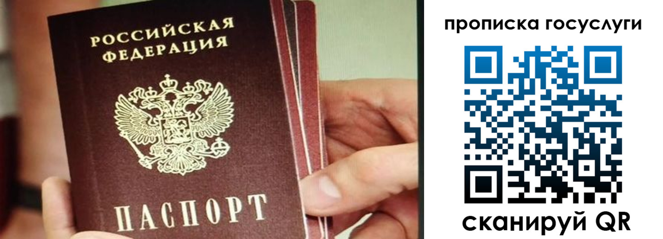 пропишу в квартире в Каменке
